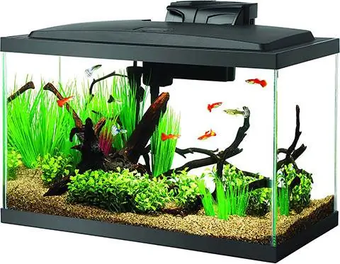 Aqueon LED Fish Aquarium Starter Kit