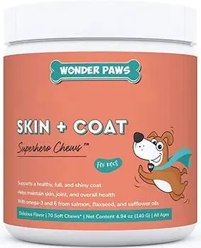 Wonder Paws Skin