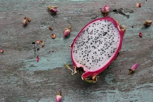 Plakje drakenfruit op een tafel