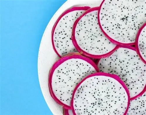 mga hiwa ng dragon fruit