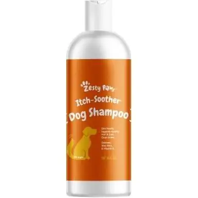 Zesty Paws Itch Soother Shampooing pour chien avec flocons d'avoine et aloe vera