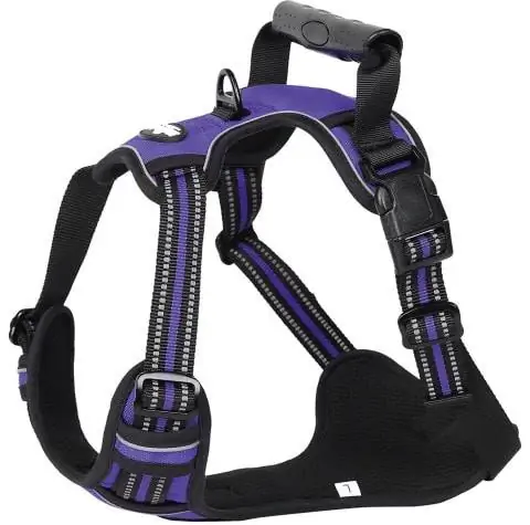 EliteField Padded Reflektif Tiada Tarik Harness