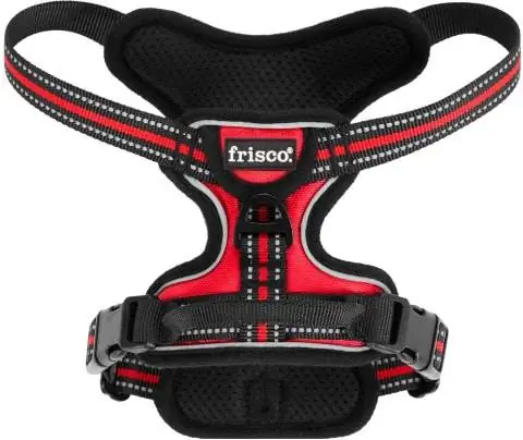 Frisco padded ამრეკლი აღკაზმულობა