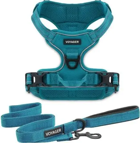 საუკეთესო შინაური ცხოველების მარაგი Voyager Dual Attachment Dog აღკაზმულობა