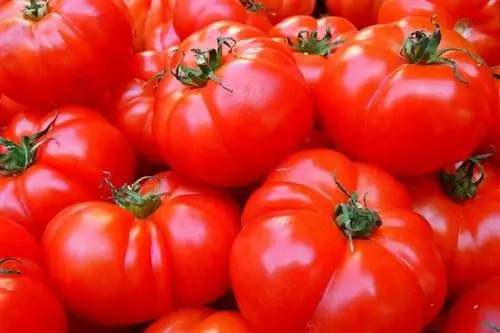 tomaten