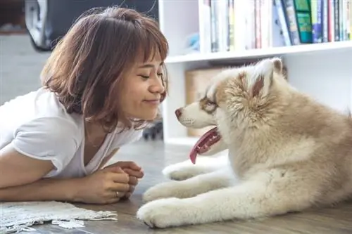 dueño del perro con su mascota