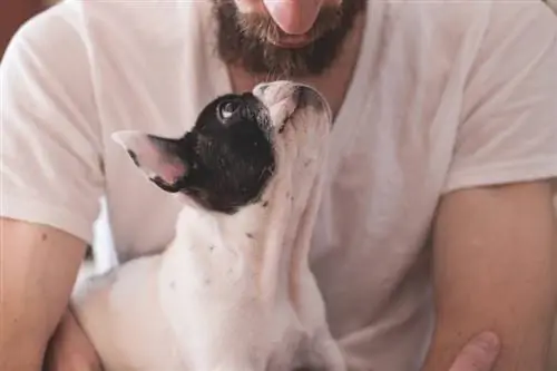 hombre sosteniendo a su perro mascota