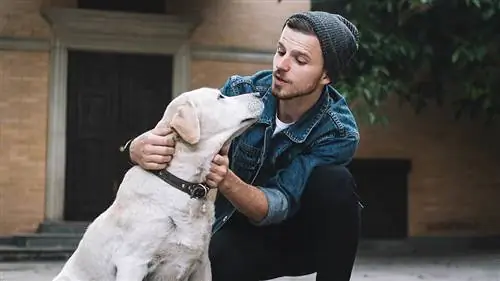 ragazzo bambino che parla di un labrador