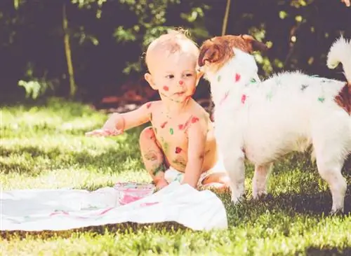 een jaar oude baby schildert op zijn lichaam en op hond