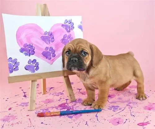 puppy staand met een schilderij van een hart waar pootafdrukken doorheen gaan