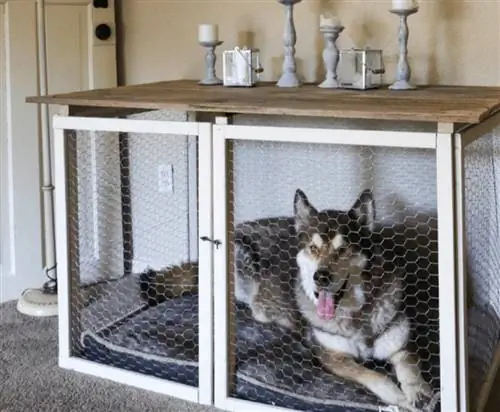 Mesa de caixa de cachorro de console, de Rumfield Homestead