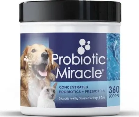 Nusentia Probiotic Miracle Premium Blend honden- en kattensupplement