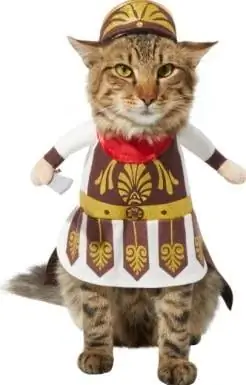 Frisco Front Walking Warrior Cat Costume