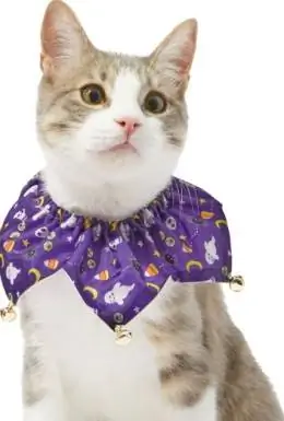 Frisco Spooky Halloween Cat жакасы Ruffle