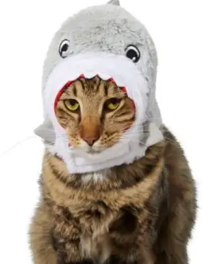 Frisco Shark Cat Costume