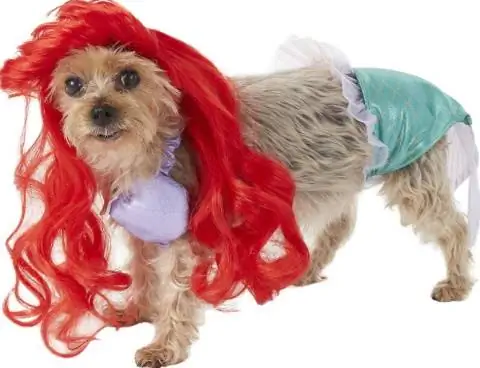 Costum pentru câine și pisică Ariel prințesă Disney