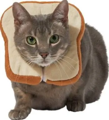 Frisco Bread Cat Costume