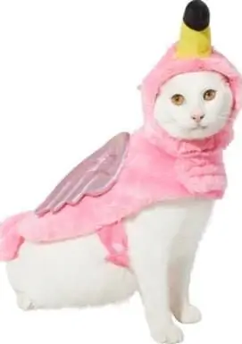 Frisco Flamingo Dog & Cat Costume