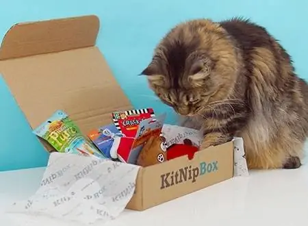 KitNipBox