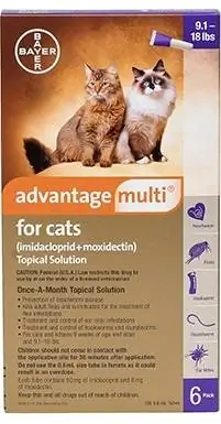 Solution multi-topique Advantage pour chats