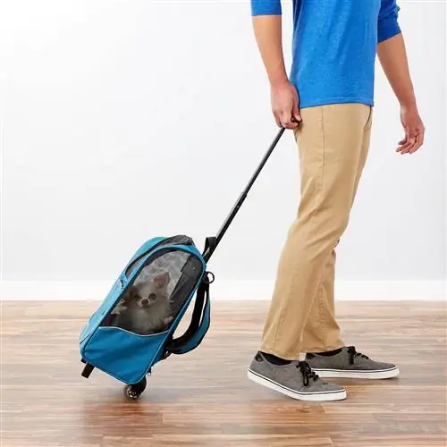 Pet Gear I-GO2 Sport Dog at Cat Backpack at Rolling Carrier (1)