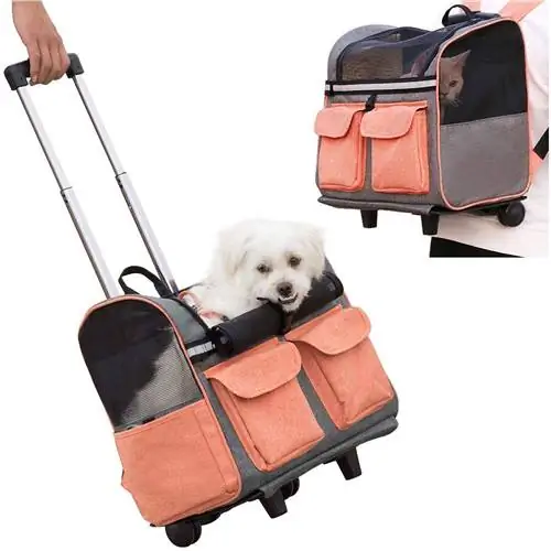 Batoh Pettom Pet Rolling Carrier (1)