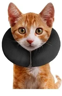 ZenPet Protective Inflatable Recovery Collar