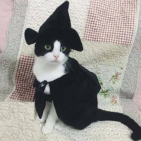 Lanyar Hooded Cloak Witch Cat Costume