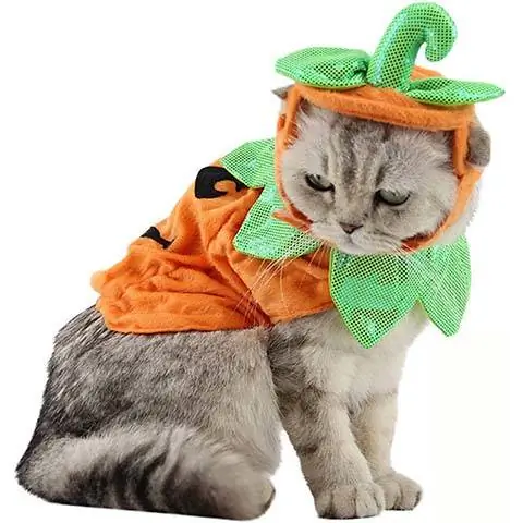 Costume de citrouille pour animal de compagnie Bolbove