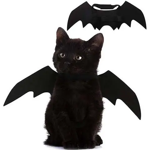 Puoyis Pet Cat Bat Wings