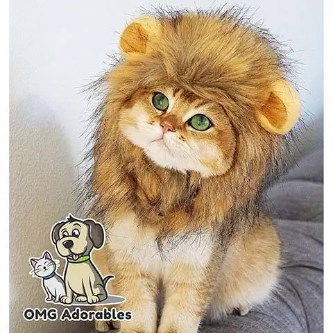 Déguisement OMG Adorables Lion pour chat