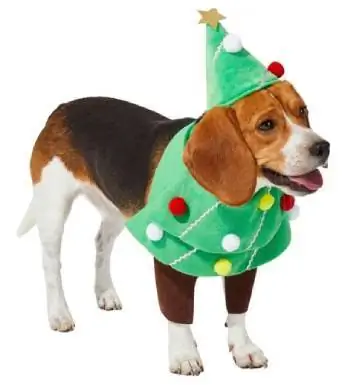 Costume da cane e gatto con albero di Natale che cammina davanti a Frisco