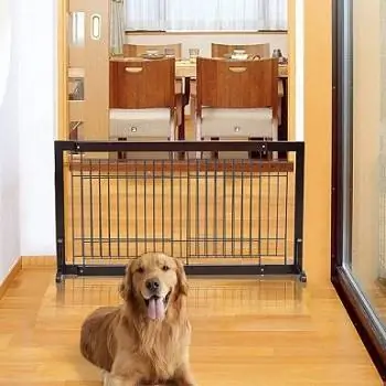 10 Pinakamahusay na Indoor Dog Gate noong 2023 – Mga Review & Mga Nangungunang Pinili