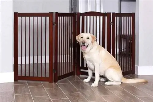 Pet Gate