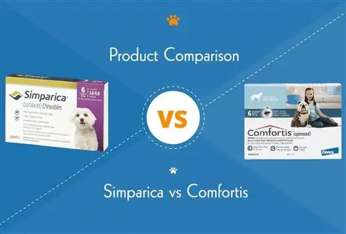 Simparica vs Comfortis: الاختلافات الرئيسية (إجابة الطبيب البيطري)