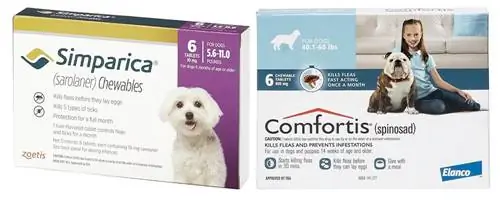 Simparica مقابل Comfortis