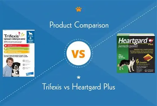 Trifexis مقابل Heartgard Plus: الاختلافات الرئيسية (إجابة الطبيب البيطري)