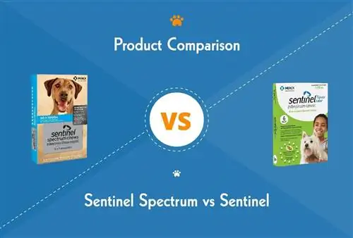 Sentinel Spectrum vs Sentinel: diferențe cheie (răspuns veterinar)