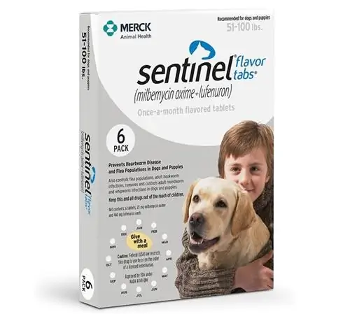 Sentinela para cães (51-100 lbs)