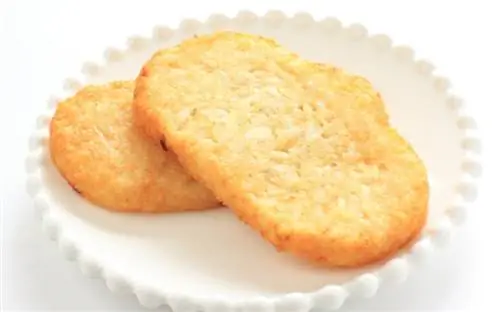 Kan katter äta Hash Browns? Vad du behöver veta