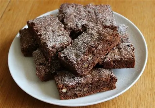 Mohou kočky jíst brownies? Co potřebuješ vědět