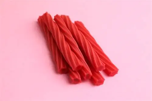 Mèo có thể ăn Twizzlers không? Những gì bạn cần biết