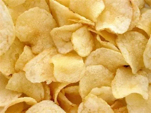 Patates cipsi