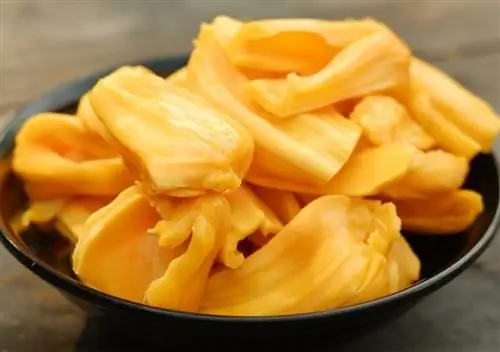 nangka dalam mangkuk