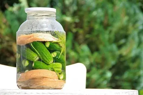 concombre mariné dans un bocal