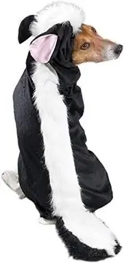 10 Casual Canine Lil' Stinker Dog Costume