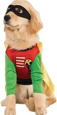 Kostým pro dospívající titány DC Comics Robin Pet