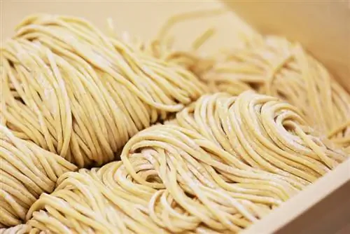 Tagliatelle di ramen crude in un piatto