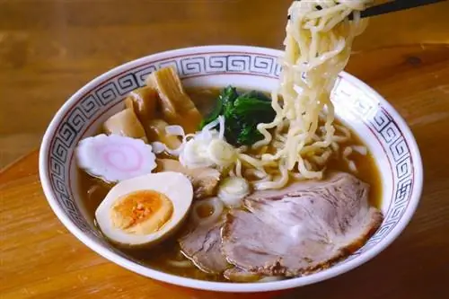 Cachorro pode comer macarrão Ramen? Fatos avaliados pelo veterinário