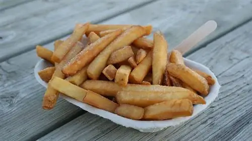 Kan hunde spise pommes frites